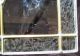 Frosted Stained Glass Window Pane Prismatic Bevel Cut Diamond Center Glass 1940-Now photo 4