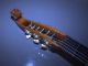 Antique Old Vintage Early1900 Lute Guitar String photo 5