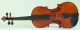Old Interesting And Fine French Violin Gand 1859 Geige Violon Violino Violine String photo 1