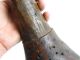 Guitar Handmade Music Traditional Tribal Toi Village Central West Timor Indonesi Musical Instruments (Pre-1930) photo 11