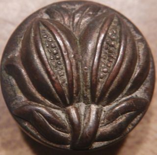 A70 Antique Vintage Metal Button Depicting Seed Pods Plant Life In High photo