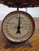 True Antique Baby Nursery Iron Scale With Wicker Basket A,  Vintage Scales photo 9