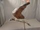 Antique Edwardian Copper Figural Eagle Bird Weathervane Primitive Directional Primitives photo 1