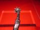 Medieval - Knight - Rowel Spur - 15 - 16th Century Other Antiquities photo 1