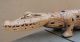 Guinea Carved Wooden Crocodile Old Pacific Islands & Oceania photo 2