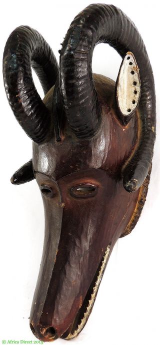 Ekoi Ejagham Horned Leather Animal Head Africa Was $650 photo