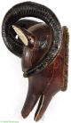 Ekoi Ejagham Horned Leather Animal Head Africa Was $650 Masks photo 3