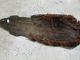 Png Guinea Carved Timber Ancestoral Mask Wooden Ochre Spirit F Pacific Islands & Oceania photo 4