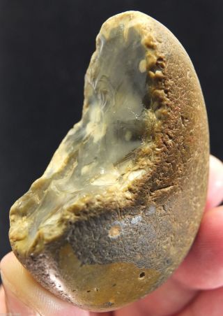 L Palaeolithic Mode 1 Unifacial Chopper Made On A Pebble C 700k,  Found Kent P521 photo