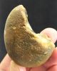 L Palaeolithic Mode 1 Unifacial Chopper Made On A Pebble C 700k,  Found Kent P521 Neolithic & Paleolithic photo 4