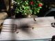 Vintage Primitive Iron Potato Fork Digger With Handel/ And Wood Metal Hand Hold Garden photo 7