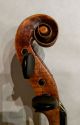 Handmade Jacobus Hornsteiner Violin String photo 2