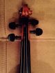 Very Old German Copy Of Stradivarius String photo 3