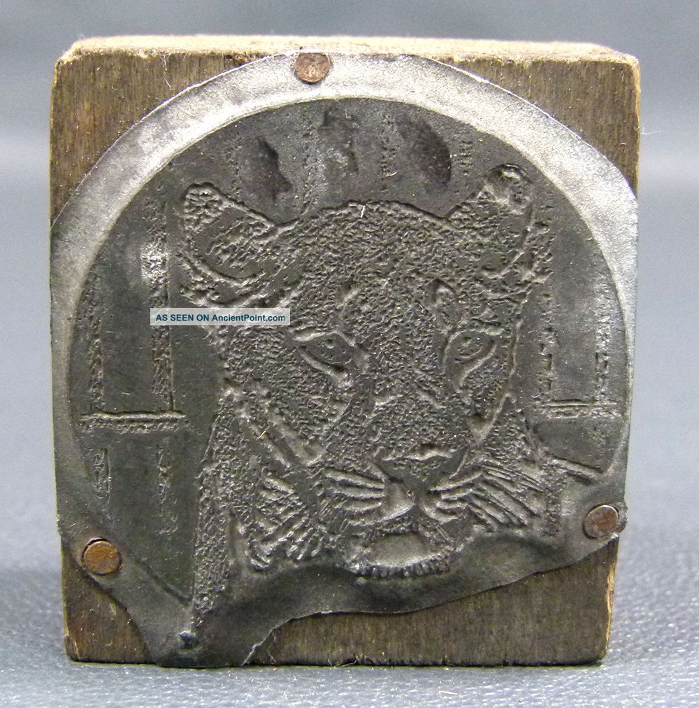 Antique Printing Block Printers Type Metal Letterpress Wild Tiger Face In Cage Binding, Embossing & Printing photo