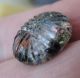 Antique Glass Kaleidoscope Button,  Feathery Look Buttons photo 1
