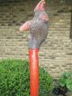 Penobescot Indian Carved Painted Burl War Club C.  1900 Native American Native American photo 3