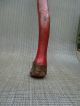 Penobescot Indian Carved Painted Burl War Club C.  1900 Native American Native American photo 6