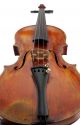 Fine,  Antique Italian - Emidis Celani - Old 4/4 Master Violin String photo 4