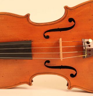 Very Fine Old Violin Pedrazzini 1926 Geige Violon Viola Cello Violine Violino photo