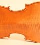 Very Fine Old Violin Pedrazzini 1926 Geige Violon Viola Cello Violine Violino String photo 1