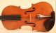Very Fine Old Violin Pedrazzini 1926 Geige Violon Viola Cello Violine Violino String photo 3