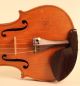 Very Fine Old Violin Pedrazzini 1926 Geige Violon Viola Cello Violine Violino String photo 4