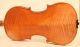 Very Fine Old Violin Pedrazzini 1926 Geige Violon Viola Cello Violine Violino String photo 7