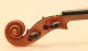Very Fine Old Violin Pedrazzini 1926 Geige Violon Viola Cello Violine Violino String photo 8