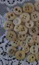 50 Vintage Antique Bone Buttons Bovine Sewing Tools Civil War Era 2 And 4 Hole Buttons photo 1