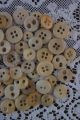 50 Vintage Antique Bone Buttons Bovine Sewing Tools Civil War Era 2 And 4 Hole Buttons photo 2