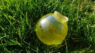 Japanese Yellow Snake Skin Glass Float photo