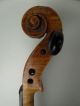 Joachims Meyer Stradivarius Antique Old Violin Violino Violine Violini German String photo 3