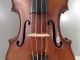 Rare A.  Sitt Guarneri Antique Old Violin Violino Violine Viola Violini Czech String photo 4