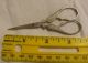 Antique Victorian Small Double Pheasant Bird Sewing Scissors Louise Mfg Germany Tools, Scissors & Measures photo 6