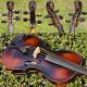 Fine Antique Violin Labelled Christian Donat Hopff.  Mellow & Mature Tone String photo 10
