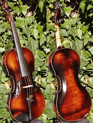 Fine Antique Violin Labelled Christian Donat Hopff.  Mellow & Mature Tone photo