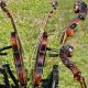 Fine Antique Violin Labelled Christian Donat Hopff.  Mellow & Mature Tone String photo 2