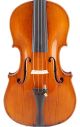 Fine,  Antique Alexander Gagliano Italian Labeled Old 4/4 Master Violin String photo 2