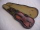 Antique Violin - Violins - Robert White - 1909 - Kilsyth - 24 1/2 Inch - As Found - String photo 11