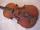 Antique Violin - Violins - Robert White - 1909 - Kilsyth - 24 1/2 Inch - As Found - String photo 1