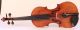 Fantastic Old Rare Italian Violin Rogerius Geige Violon Violino Violine Viola String photo 1