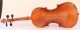 Fantastic Old Rare Italian Violin Rogerius Geige Violon Violino Violine Viola String photo 5