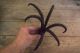 Early Antique Primitive Rare 6 Prong Hand Forged Iron Grappling Hook Primitives photo 5