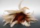 Ostrich Feather Duster Vintage Wood Handle With Rawhide Other Antique Home & Hearth photo 1