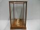 The Glass Case (display Cases) Of The Wooden Frame.  Japanese Antique. Display Cases photo 5