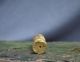 Interesting And Rare Pre Columbian Gold Bead With Figure Peru Chimu Culture The Americas photo 6