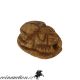 Egyptian Carved Scarab Bead Seal 500 - 200 Bc Roman photo 1