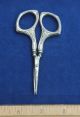 Antique Sterling Silver Chatelaine Embroidery Scissors By Webster Circa 1890s Tools, Scissors & Measures photo 1