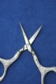 Antique Sterling Silver Chatelaine Embroidery Scissors By Webster Circa 1890s Tools, Scissors & Measures photo 3