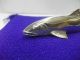 Silver Sweetfish.  135g/ 4.  75oz.  Japanese Antique. Other Antique Sterling Silver photo 9